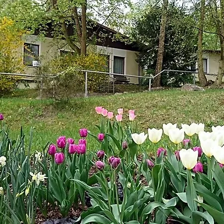 Hotel Haus